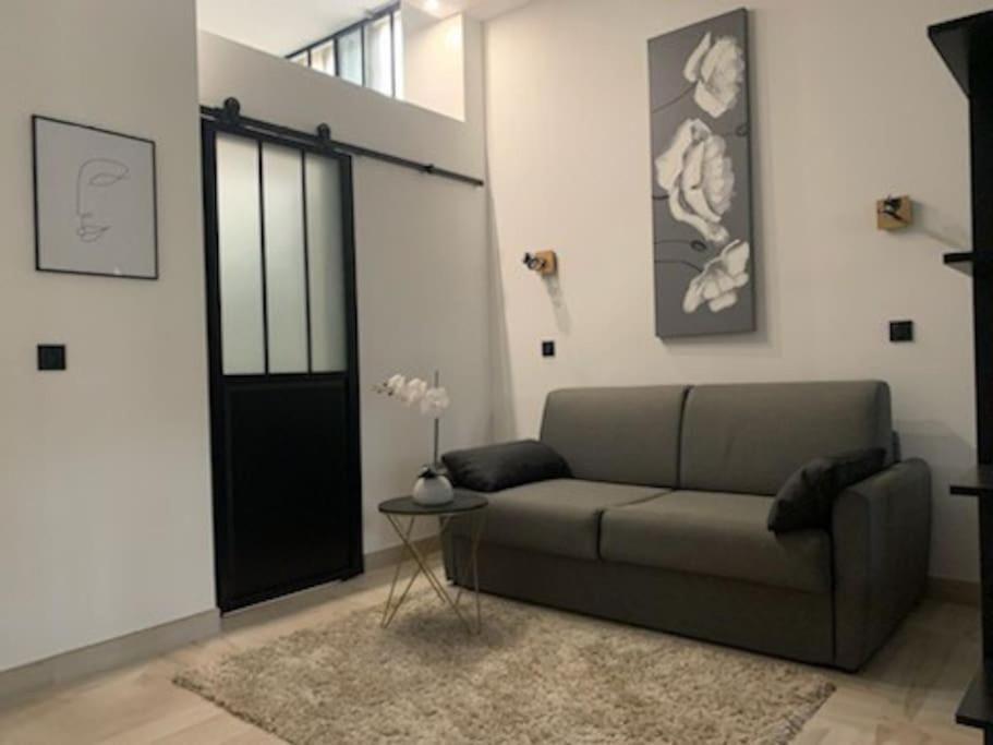 Studio Loft 40M2 De Charme Perpignan Zewnętrze zdjęcie